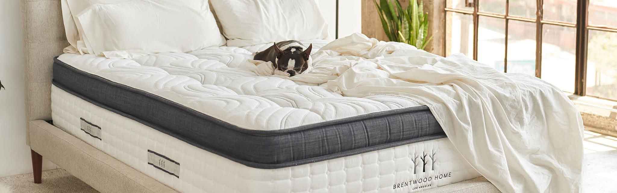 Costco Mattress Sale / Queen Size Mattresses Costco / Want to shop for