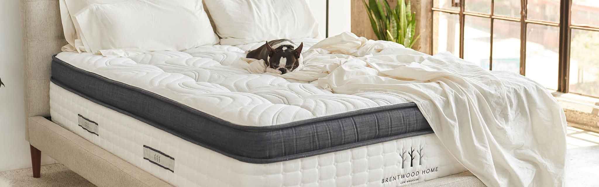 Hybrid Latex Mattress | Latex Mattresses | Brentwood Home Split King