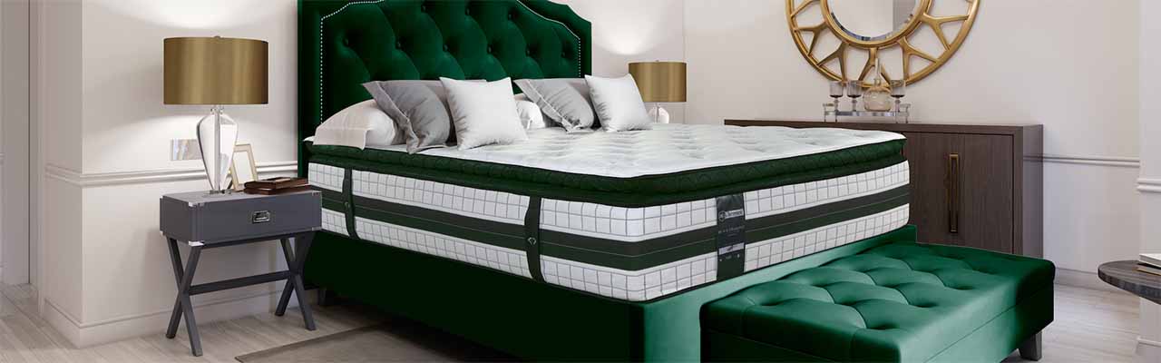 Sealy shop chiropractic mattress
