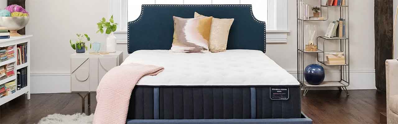 Charlotte Nc Mattress Store Dilworth Mattress Sale Company